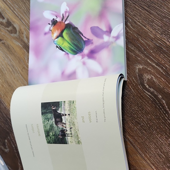 Priceless Vanishing Beauty of a Fragile Planet Book - Picture 7 of 16